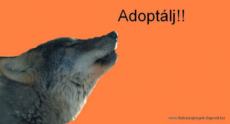 adoptalj.jpg