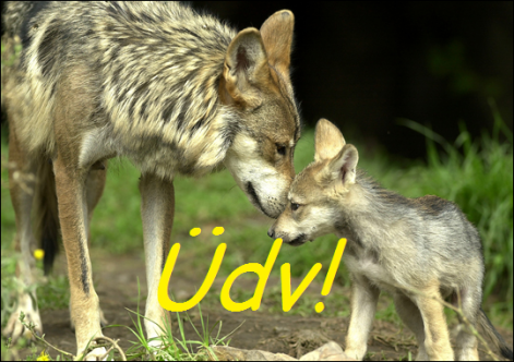 farkasok_240.png farkasok_240.png